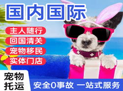 普陀山航空邮寄国际宠物托运 【国